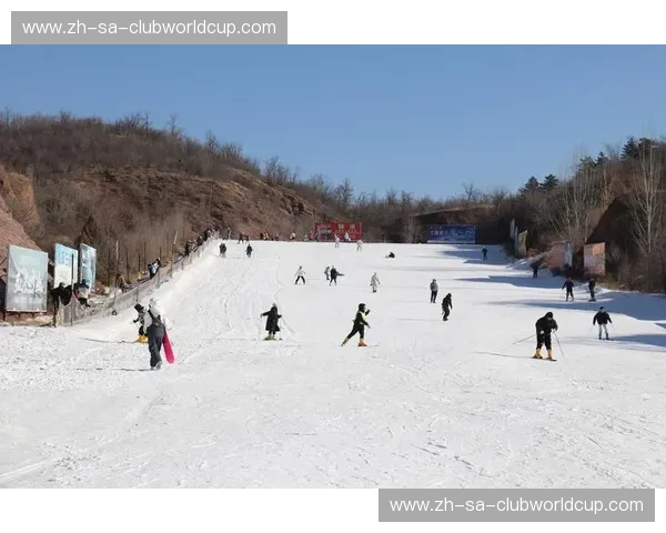 滑雪赛事伤停：赛场意外背后的机遇与应对
